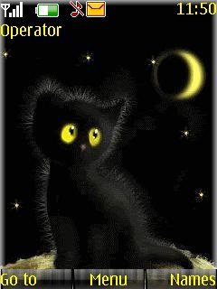Cute Black Cat -  1