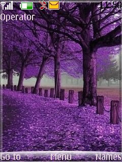 Purple autumn -  1