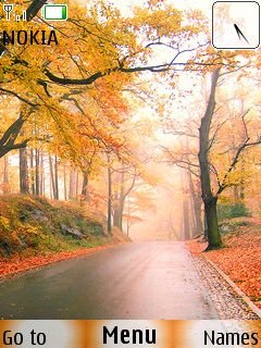 Autumn Road -  1