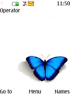 Cute Butterfly -  1