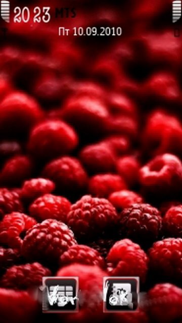 Raspberry -  1