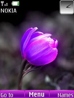 Lilac Flower -  1