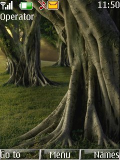 Nature Trees -  1