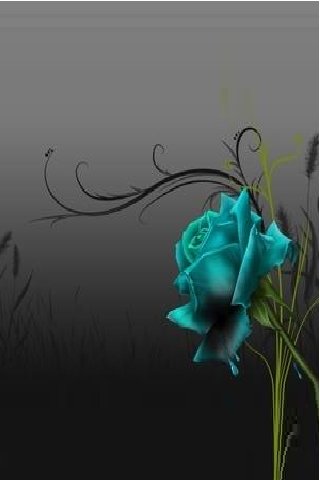 blue rose -  1