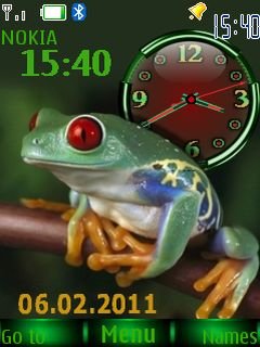 Frog Dual Clock -  1
