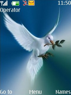 Dove Of Peace -  1