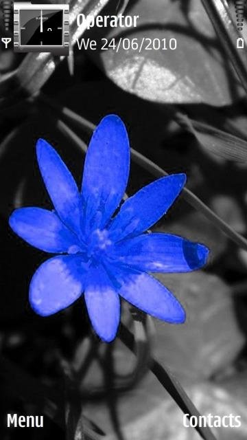 Blue Flower -  1