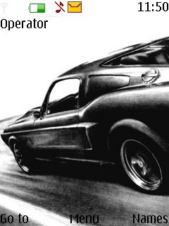 Black Mustang -  1