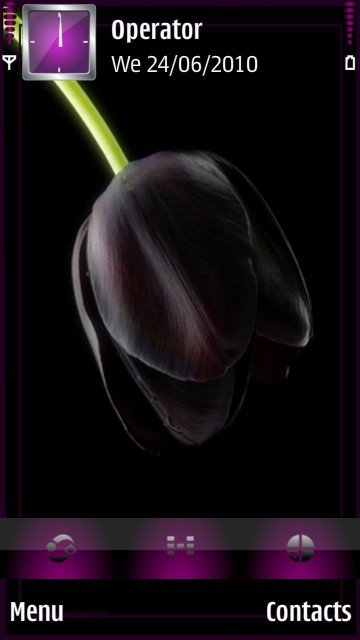 Black Tulip -  1