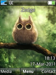 Cute Owl -  1