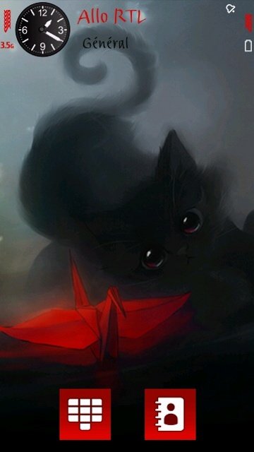 Black Kitten -  1