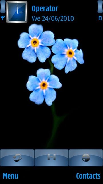Blue Flowers -  1