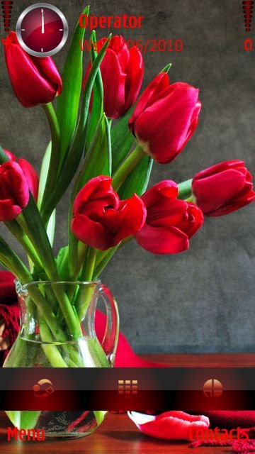 Red Tulips -  1