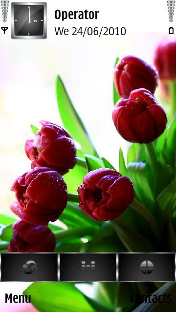 Red Tulips -  1