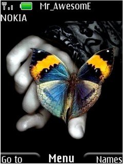 Beautiful Butterfly -  1