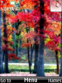 Colorful Forest Tree -  1