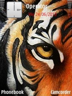 Tiger Eyes -  1