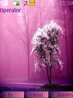 Beautiful Tree -  1