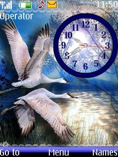 Bird Clock -  1