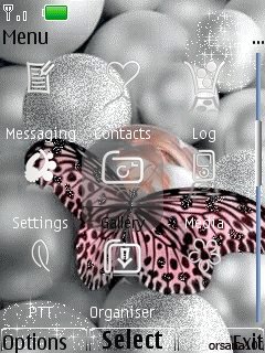 Butterfly -  2