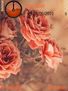 Orange Rose -  1
