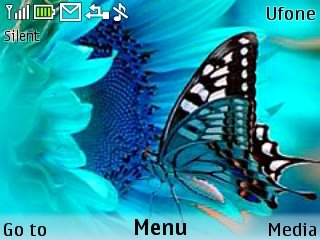 Butterfly -  1