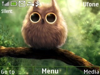 Cute Owl -  1