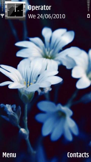 Blue Flowers -  1