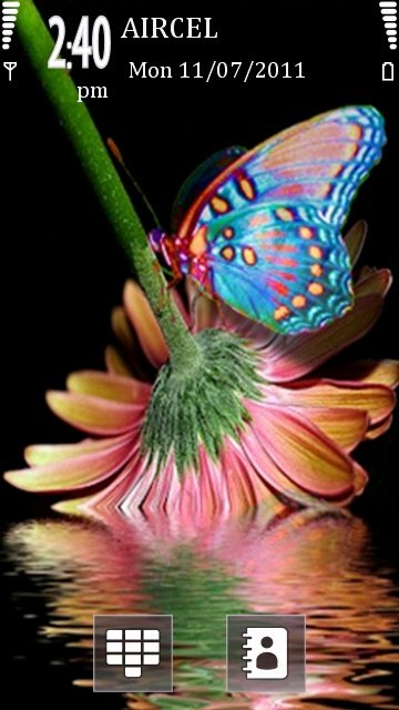 Butterfly -  1