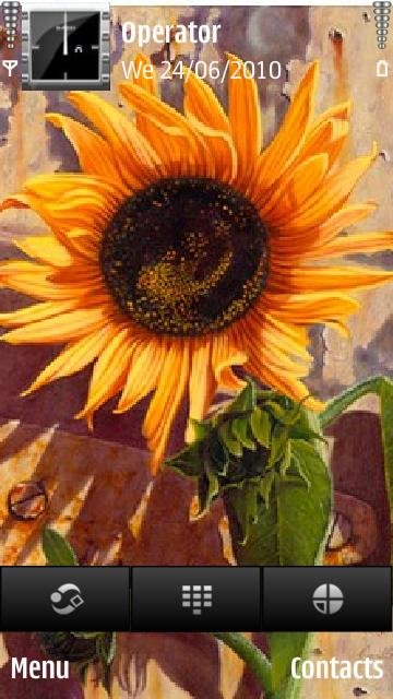 Sun Flower -  1