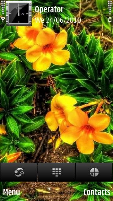 Yellow Flowers -  1