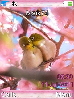 Birds Love -  1
