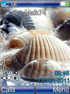 Shells -  1