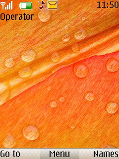 Orange Waterdrops -  1
