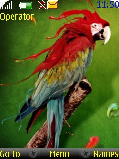 Rad Parrot -  1