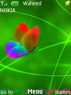 Rainbow Butterfly -  1