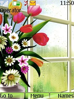 Window Flowers -  1