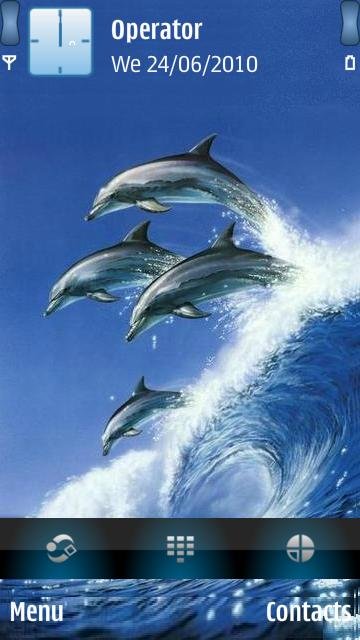 Dolphins -  1