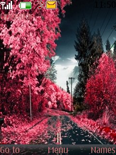Pink Road -  1