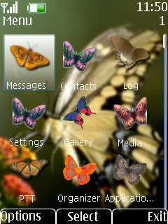 Butterfly -  2