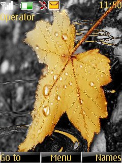 Autumn Leaf -  1