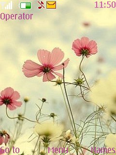 Cute Pink Flower -  1