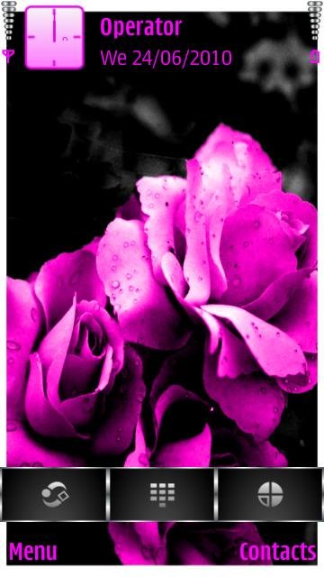 Pink Rose -  1