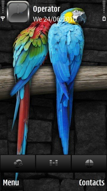 Parrots -  1