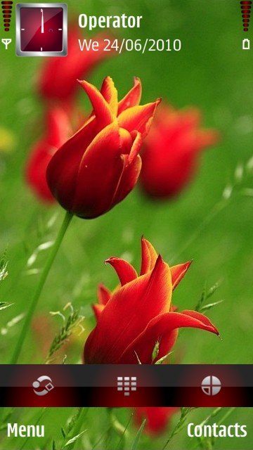Red Flowers -  1