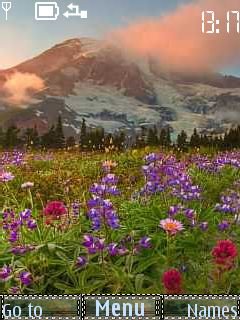 Mountains-flowers -  1