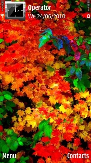 Colorful Leaves -  1