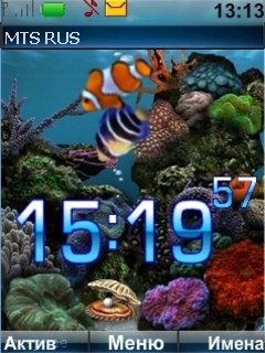 Aquarium -  1