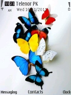 Butterflies -  1