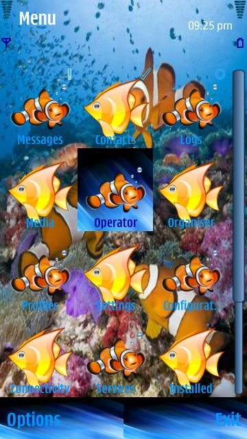 Nemo Fish -  2